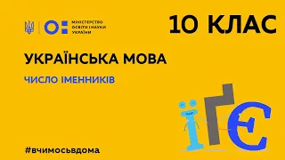 10 клас. Українська мова. Число іменників (Тиж.2:ПН)