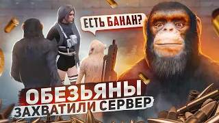 ОБЕЗЬЯНЫ ЗАХВАТИЛИ ВЕСЬ СЕРВЕР В ГТА 5 РП / GTA 5 RP / MAJESTIC RP / МАДЖЕСТИК РП