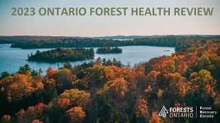 2023 Ontario Forest Health Review