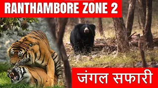 Ranthambore Tiger Reserve Zone 2 | Jungle Safari in Ranthambore | Discover Wild Paws Hindi Video