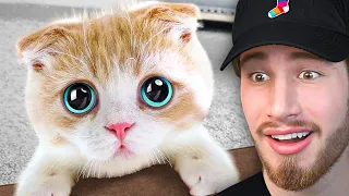 DON'T Say "Awww" CHALLENGE!