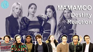 Classical Musicians React: MAMAMOO 'Destiny'