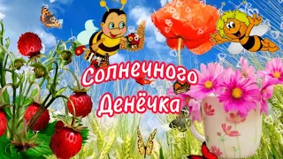 Доброе Утро☕️Хорошего Дня И Отличного Настроения🌸Музыкальная Открытка🌸Пожелание Доброго Утра