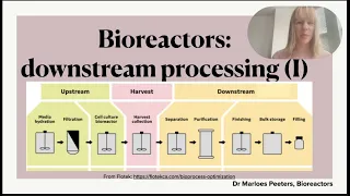 Downstream processing in the pharmaceutical industry (Part I): recovery and purification