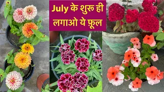 July में ये पोधों को घर में लगाओ और पाओ फ़ूल ही फ़ूल || July Permanent Plants|| Rainy Season Flowers