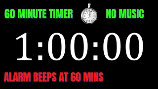 1 Hour Workout Timer Counts UP from 0 to 60 Minutes | 1 Hour Alarm BEEPS at Finish | NO MUSIC