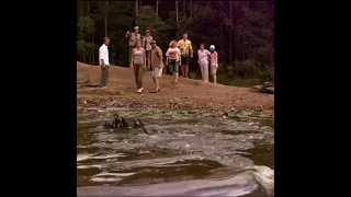 Rogue (2007) | Crocodile Survival Movie