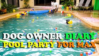 Pool Party for Max - Dogs Life Video