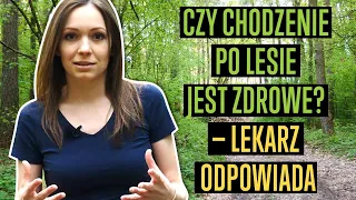 LEKARZ OPOWIADA: Czy chodzenie do lasu jest zdrowe?