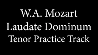 Tenor Demo - Laudate Domimum - Mozart