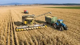 NEW HOLLAND CR10.90 SmartTrax - World Biggest Combine | BIG Corn Harvest 2018