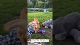 Dog is so happy to see mom
