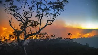 183 suspectedly related to months-long bushfires in Australia