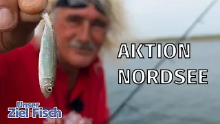 HIER ANGELT KAUM JEMAND: MYTHOS NORDSEE - Unser Ziel ist Fisch mit Jörg Ovens