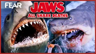 Every Shark Death From The Jaws Movies | Fear