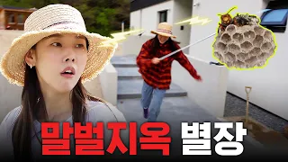 🐝별장 라이프 최대 위기🐝 홍천에 조경용 나무 심다 벌집 건드린 한혜진｜나무 시장, 별장 인테리어, 조경수, 부추전 먹방