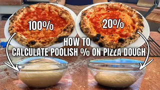 In Depth Understanding Poolish % For Pizza Dough