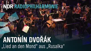 Dvořák: "Song to the Moon" from "Rusalka" | Joyce El-Khoury | Andrew Manze | NDR Radiophilharmonie