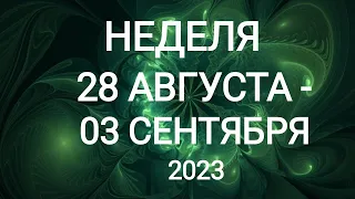 ДЕВА ♍. ПОДАРКИ, ФЛИРТ. НЕДЕЛЯ 28 АВГУСТА - 03 СЕНТЯБРЯ 2023. Таро прогноз.