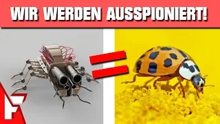 Diese TIERE spionieren uns aus!  Sie sind überall! - Faktoteles