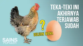 Mana Lebih Dulu : Ayam atau Telur? Sains Menjawab Teka-teki Memusingkan Ini