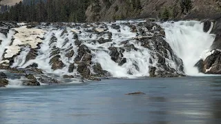 🔥🔥Exploring Banff by Guntaj 🔥🔥 banff hot springs | Banff downtown | banff cave and basin ☺️💪