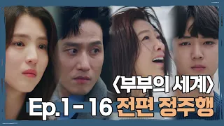 [핵심요약★부부의 세계] 1-16회 전편 정주행 〈부부의 세계(the world of the married) 〉