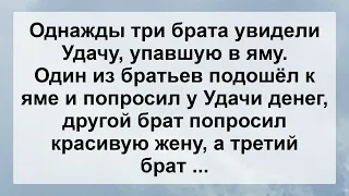 Три Брата и Удача! Свежие Анекдоты Для Супер Настроения! Юмор и Позитив!