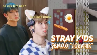 Stray Kids sendo "normais"