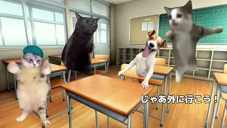 小学校へ通う猫の1日　猫meme