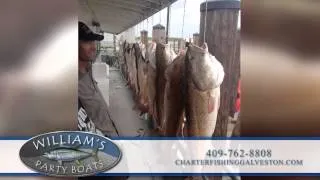 Williams Party Boats Inc | Hunting & Fishing in Galveston