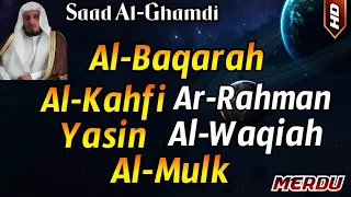 Surah Al Baqarah,Al Kahfi,Yasin,Ar Rahman,Al Waqiah,Al Mulk Saad Al-Ghamdi, Al Quran Pengantar Tidur