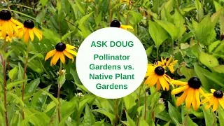 Pollinator Gardens Vs. Native Plant Gardens