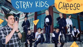 Honest reaction to Stray Kids — Cheese