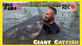 Giant fish 220 LBS VS Fisherman - HD by Catfish World