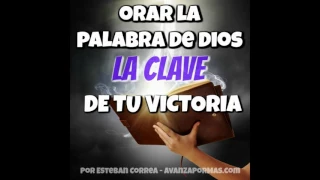 ORAR LA PALABRA DE DIOS La Clave de Tu Victoria REFLEXIONES CRISTIANAS 317