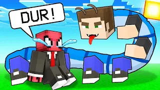 FERİTED VS MİNECRAFT #242