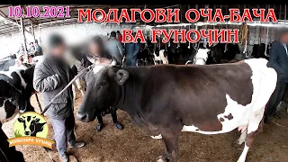 Нархи молхои мода дар мохи ОКТЯБР дар МОЛБОЗОРИ ХУЧАНД. #ОБУНА_шавед_дустон #Лайк #Подписаться