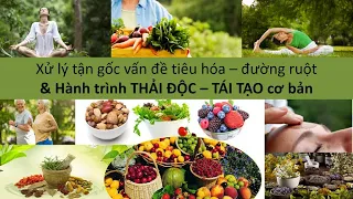 Các vấn đề Tiêu hóa & Đường ruột (Phần 3): Nguyên nhân gốc, Cách xử lý tận gốc và Thải độc toàn diện