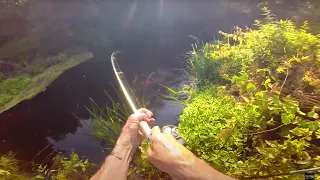 JUNGLE FISHING: Exploring River Never Fished for Years!