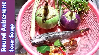 Asian Khmer Cooking food for dinner recipes,  Round Aubergine Sour Soup