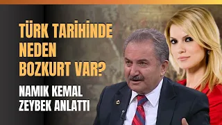 Türk Tarihinde Neden Bozkurt Var? Namık Kemal Zeybek Anlattı