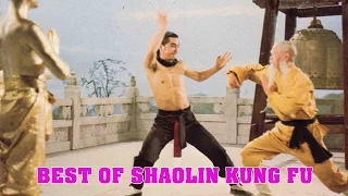 Wu Tang Collection - Best of Shaolin Kung Fu