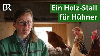 Ställe aus Holz: Besseres Klima, mehr Tierwohl, aber mehr Keime? | Tierhaltung | Unser Land | BR