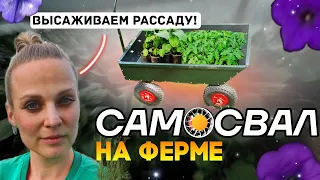 Высаживаем рассаду овощей в открытый грунт. Садовая тачка Самосвал, телега для сада Unikit.