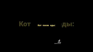 Хитрый Кот, Котэ Подхалим, Смешные Видео про Питомцев, Кот с Тик Ток