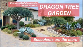 See Carolyn's Dragon Tree Garden, Before & After