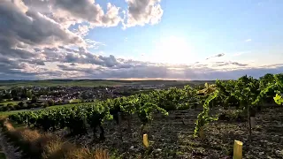 La ville de Chablis, Auxerre