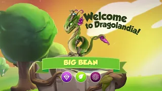 How to Breed Big Bean, February's Dragon of the Month!
