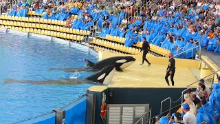 Loro Parque Whale Show (2018) (1080p HD)